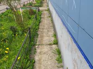 ленина 17а очистка отм. от растительности до 1.jpeg